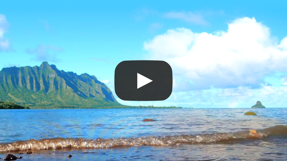 Mindfulness Meditation